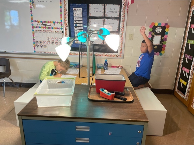 two students working, one is raising a hand.